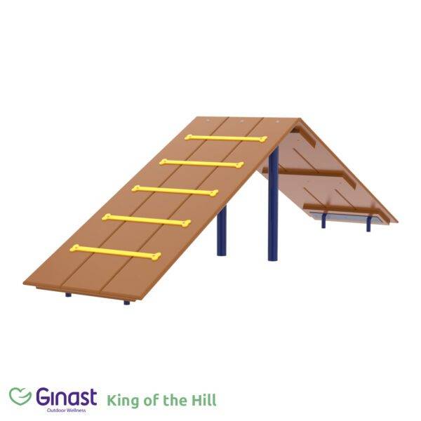 A ramp designed for pets in a pet park.