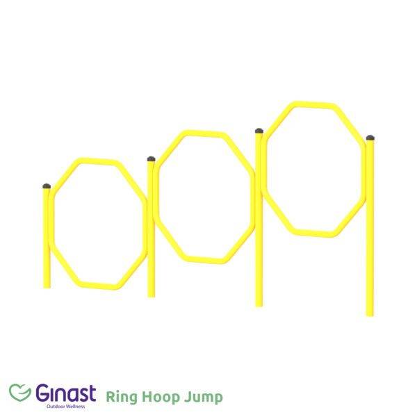 An image of a ring hoop jump for dogs in an agility training setting.