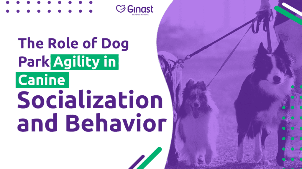 Canine Socialization and Behavior