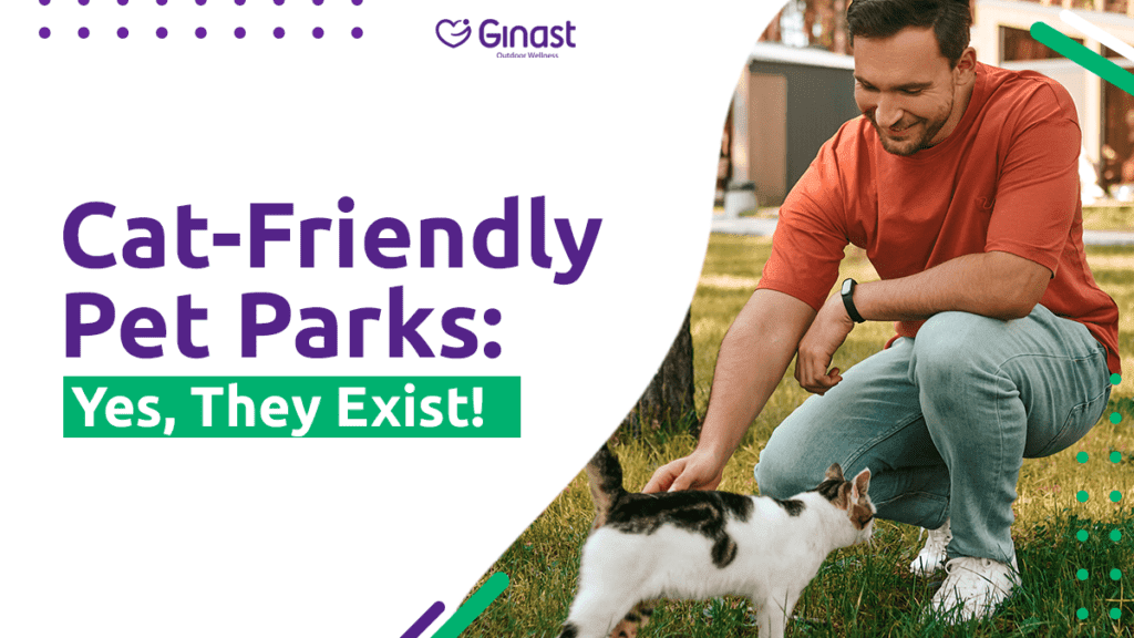 Cat-Friendly Pet Parks: Yes, They Exist!